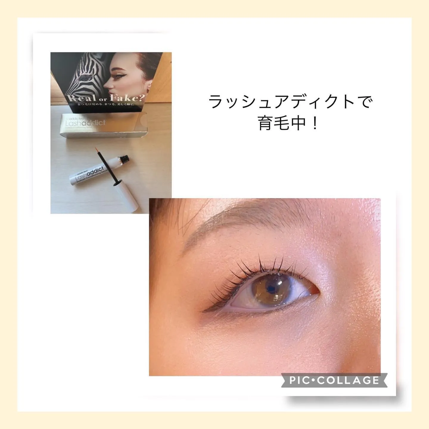 ラッシュリフト